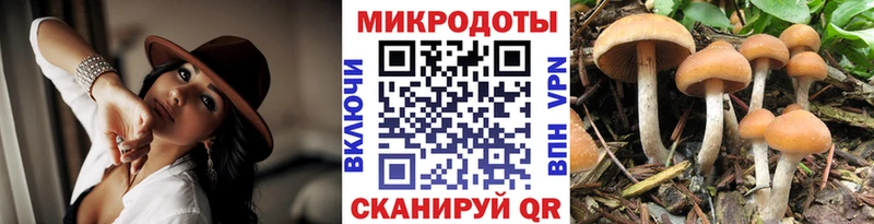 Галлюциногенные грибы Magic Shrooms  Тула 
